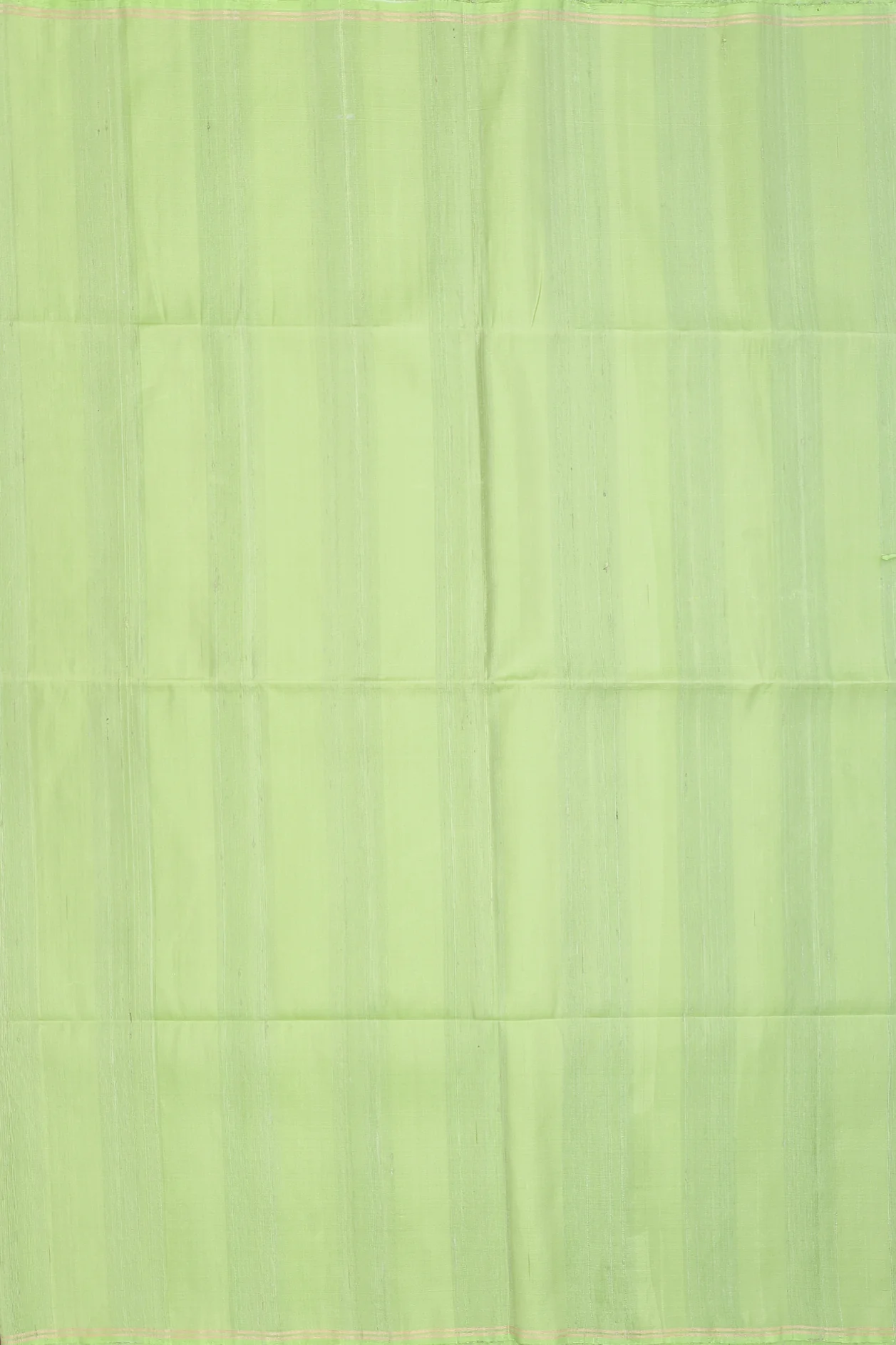Raw Silk Saree In Pastel Green With Plain - Image 4