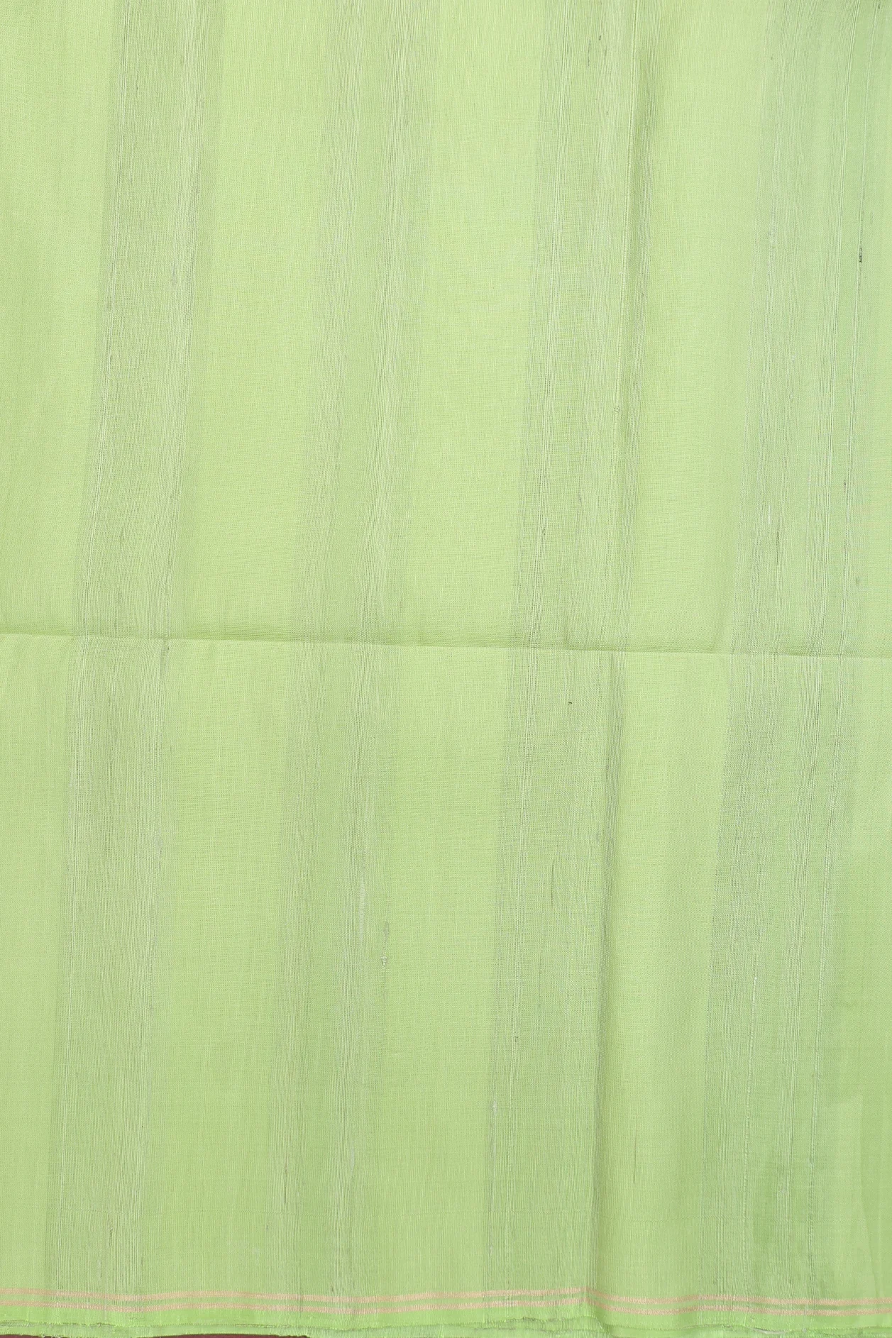 Raw Silk Saree In Pastel Green With Plain - Image 5